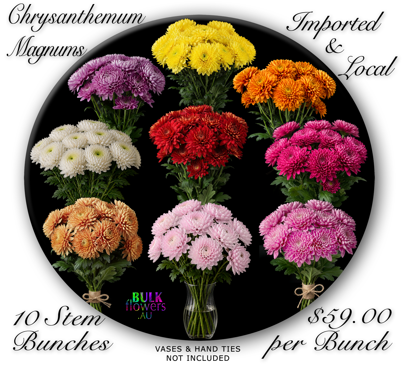 BULK FLOWERS MAGNUMS